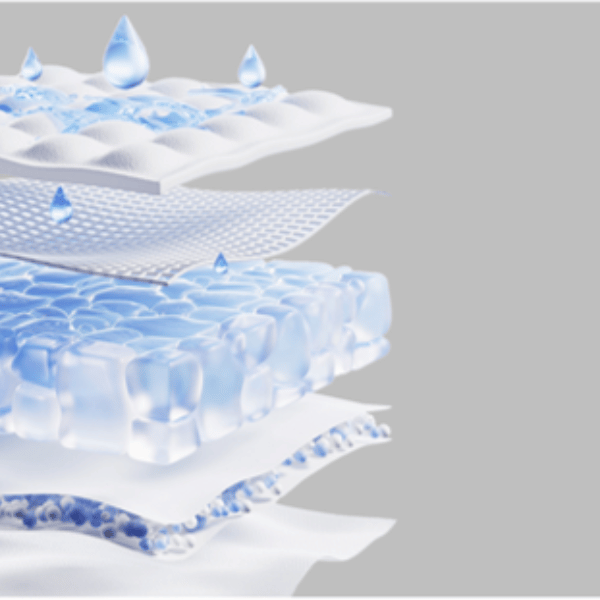 expertise patent dual core technology CHIAUS EXPERTISE PATENT DUAL CORE TECHNOLOGY