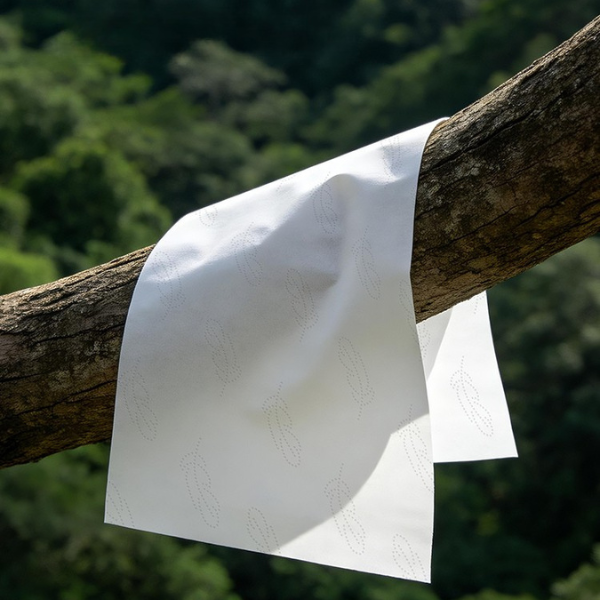environmental materials-virgin wood pulp 